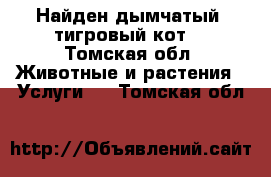 Найден дымчатый, тигровый кот. - Томская обл. Животные и растения » Услуги   . Томская обл.